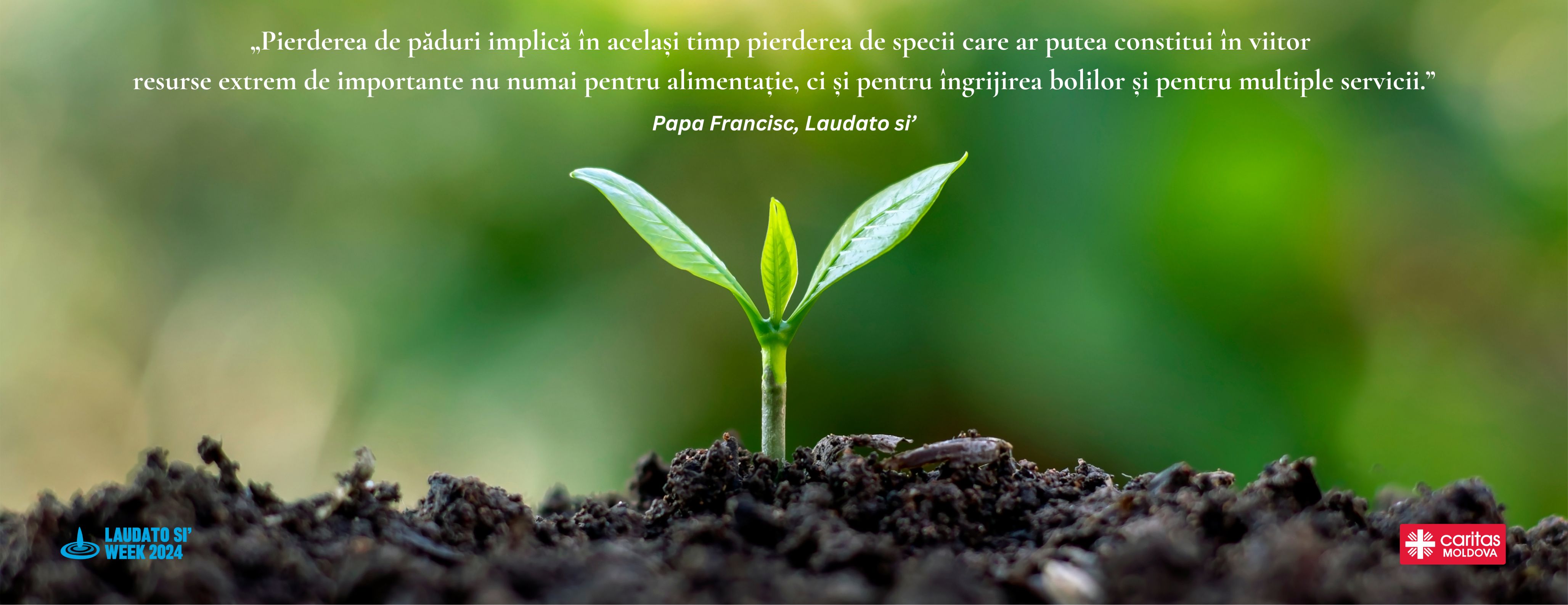 Săptămâna Laudato Si' 2024